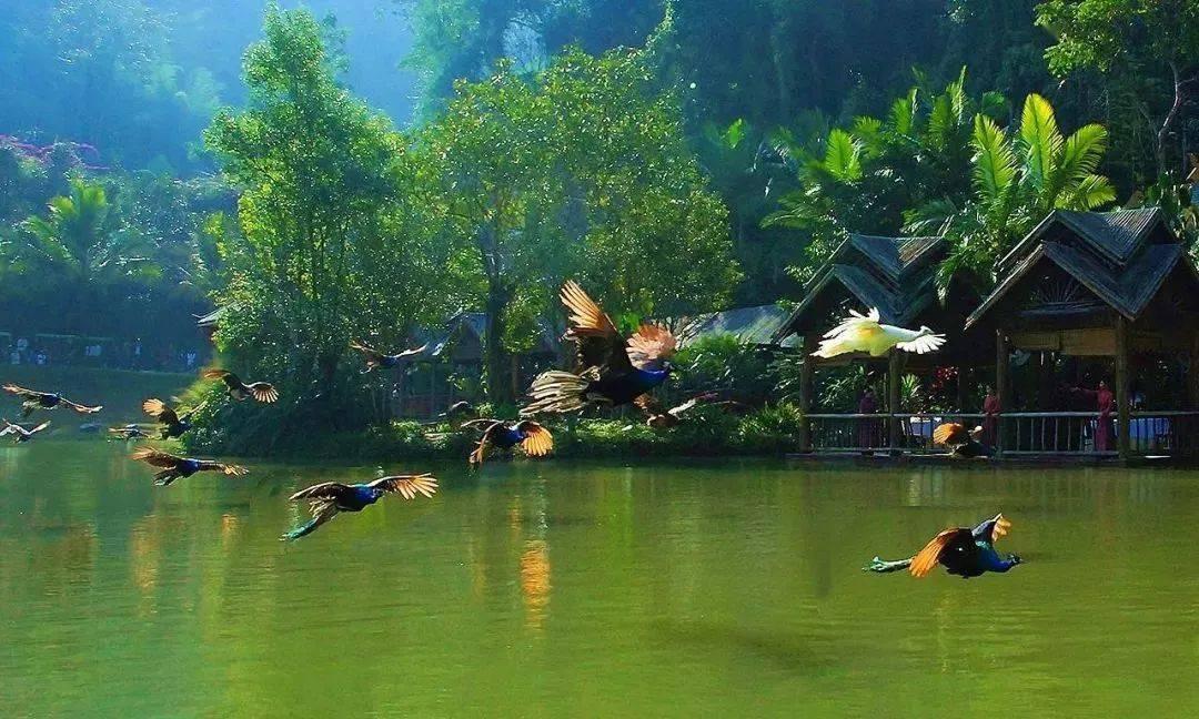 被单位辞退要怎么办？游戏画面