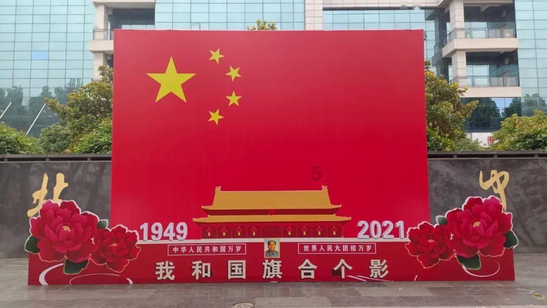 狗狗被扔在路边，淋着雨一脸无辜相，宠主：看你还敢拆家不？
