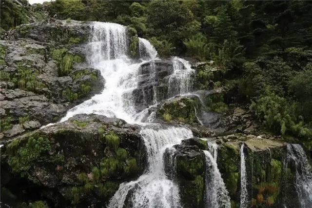 崩坏3
